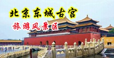 黄色录像女人尿尿中国北京-东城古宫旅游风景区